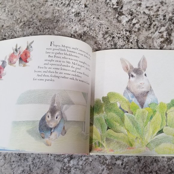 The Tale of Peter Rabbit Picture Book Beatrix Potter - Picture 3 of 5